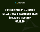 Webinar: The Business of Cannabis: Challenges & Solutions in an Emerging Industry