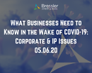 Webinar: What Businesses Need to Know in the Wake of COVID-19: Corporate & IP Issues 05.06.20