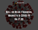 Webinar: Bull or Bear: Financial Markets & COVID-19