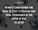 Webinar: Remote Courtrooms are Here to Stay: Litigation and Trial Techniques in the COVID-19 Era 05.20.20